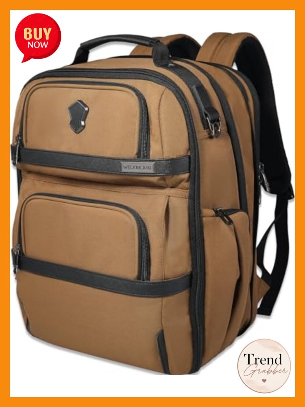 20-Pocket 40L Travel Laptop Backpack Carry-On Expandable Men Business
